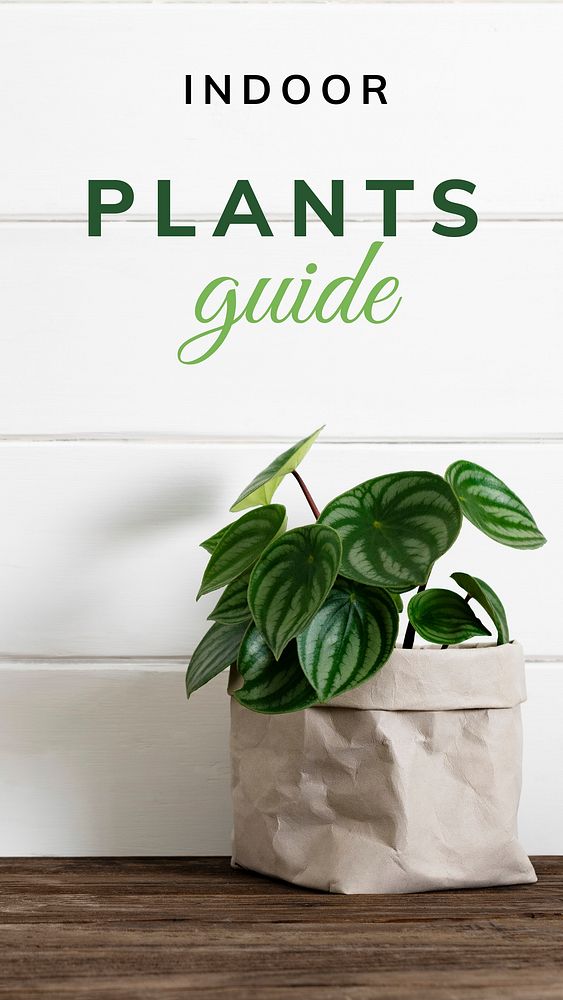 Indoor plants guide template vector