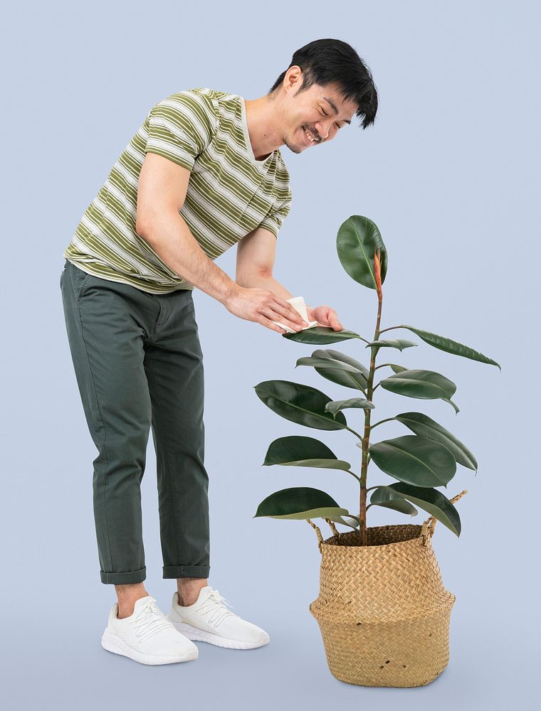 Asian man cleaning potted plant leaf