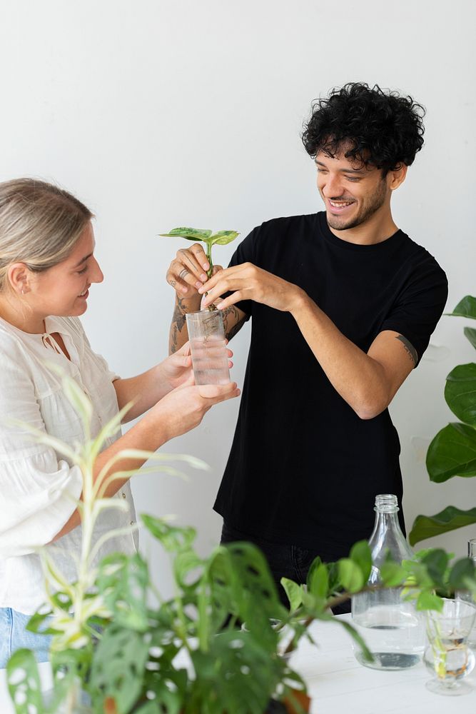 Couple water propagating their houseplants 