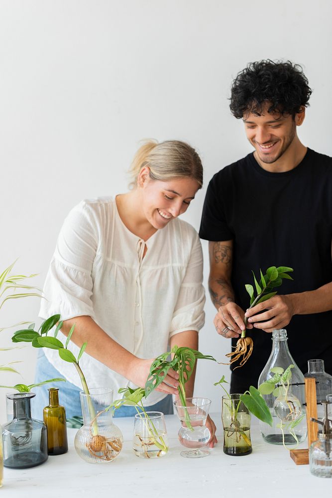 Couple water propagating their houseplants 