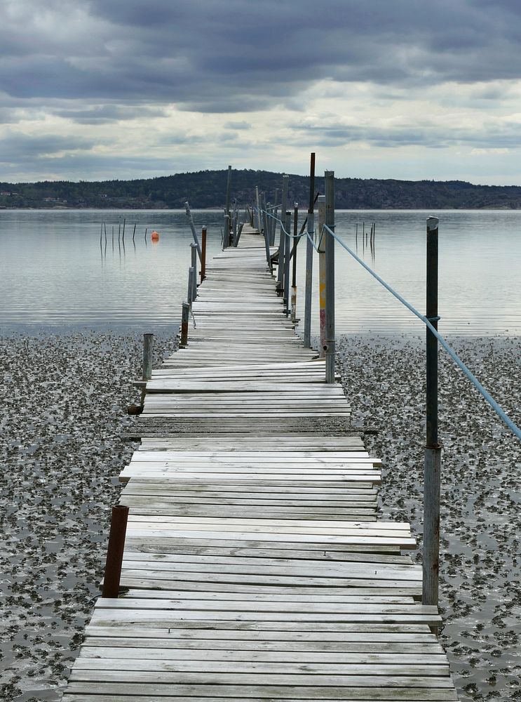 A wooden jetty over the mudflats at Gullmarsvik, Lysekil, Sweden, on a rainy day. The mudflat is covered with lugworm…