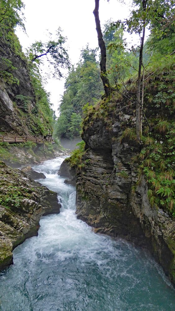 Vintgar Gorge in Slovenia. Original public domain image from Wikimedia Commons