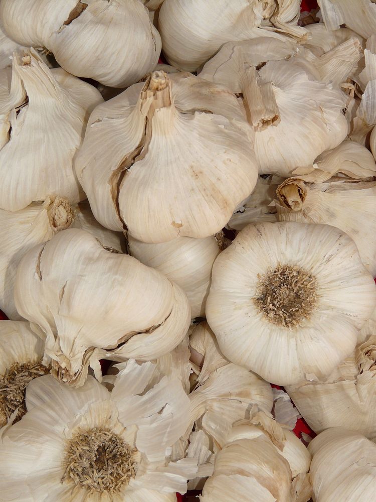 Garlic. Original public domain image from Wikimedia Commons