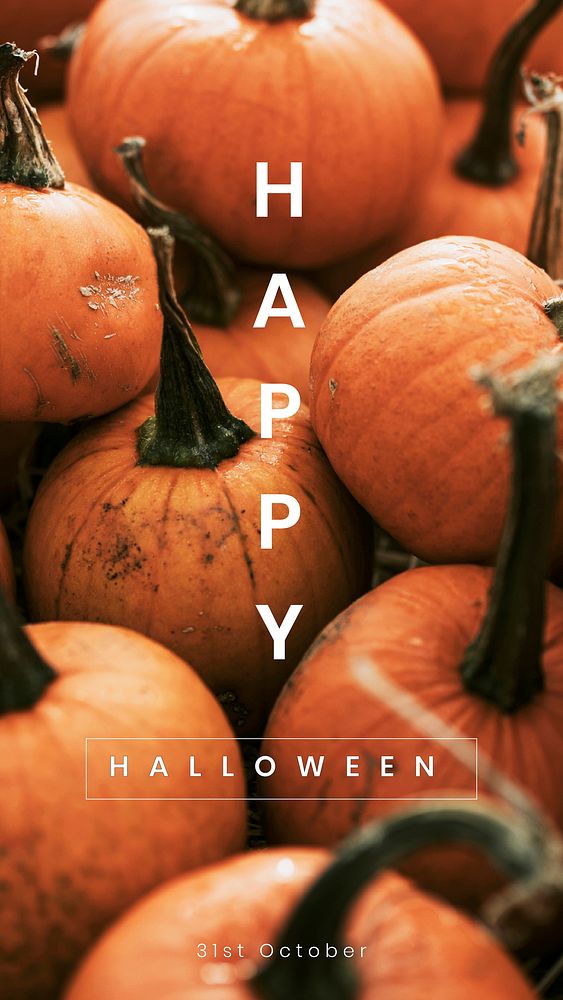 Happy Halloween greeting vector template for social media story