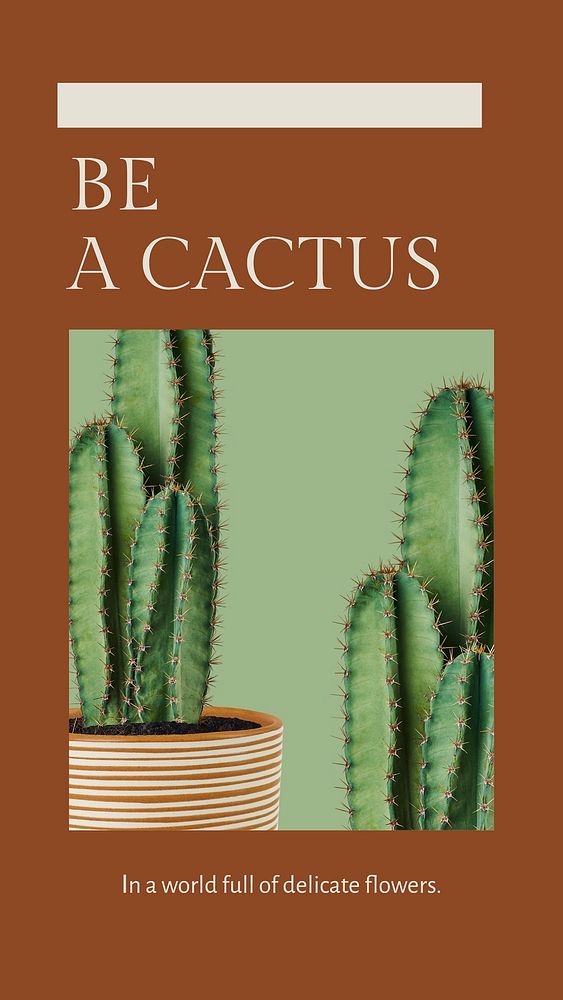 Be a cactus inspirational quote minimal plant social media story