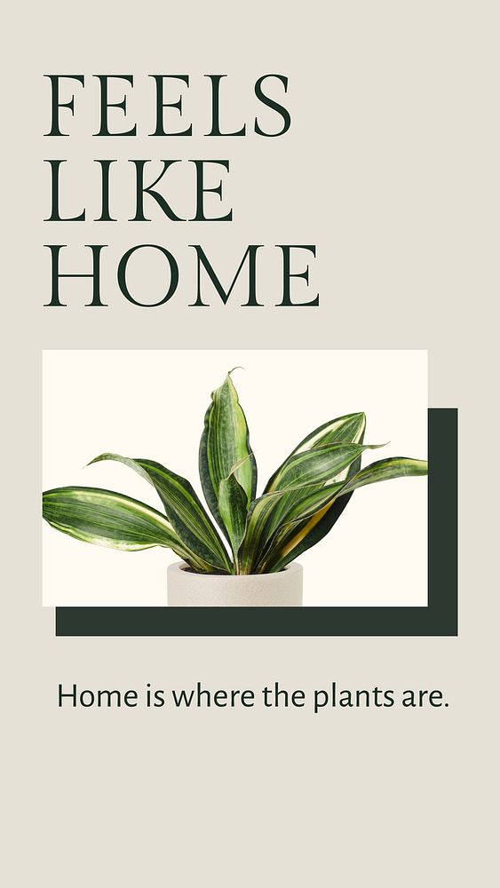 Feels like home inspirational quote minimal plant social media story