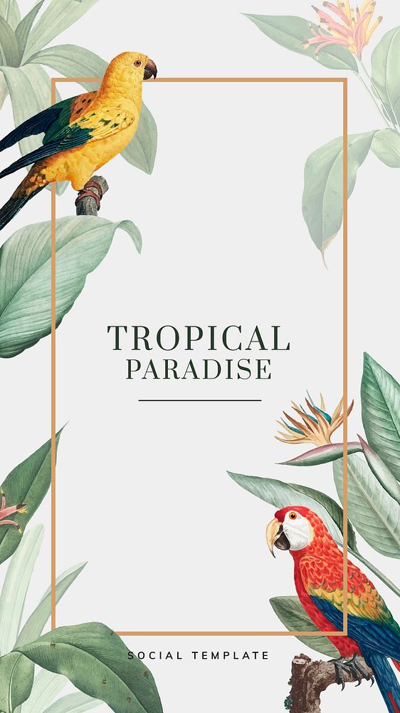 Tropical social story template vector