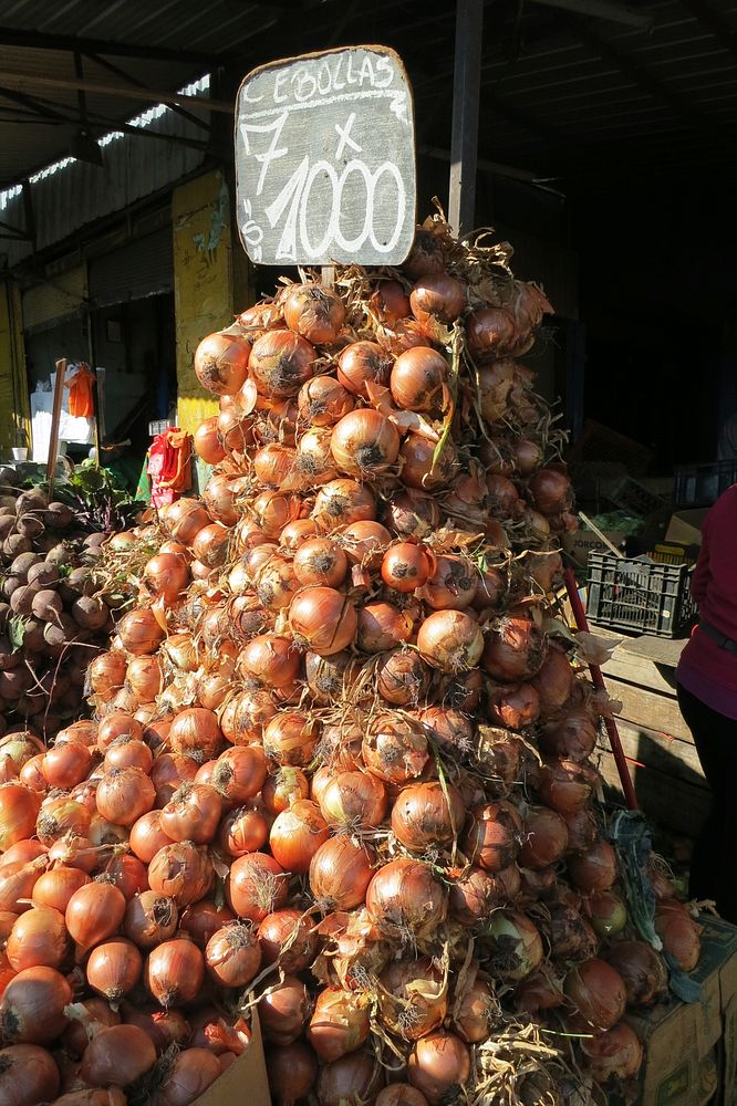 Onions at La Vega Market, Santiago, Chile.