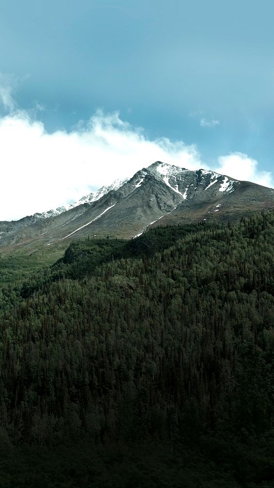 A long wooded slope of a snow-crested mountain. Original public domain image from Wikimedia Commons