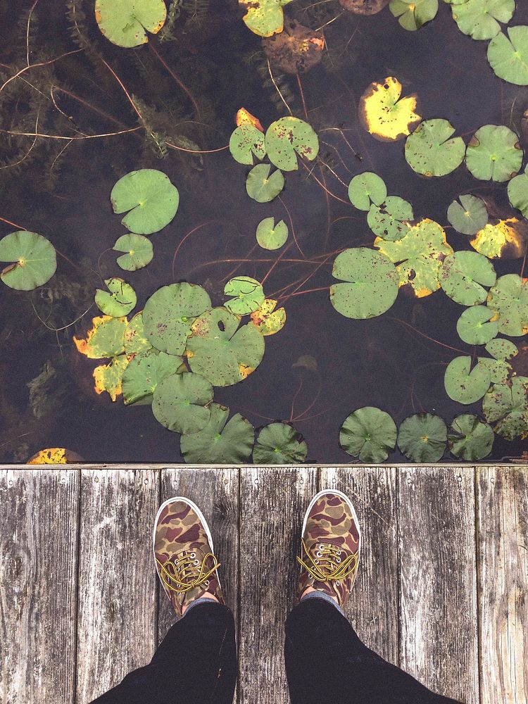 An overhead shot of a person's feet on a wooden deck next lily pads on a pond. Original public domain image from Wikimedia…