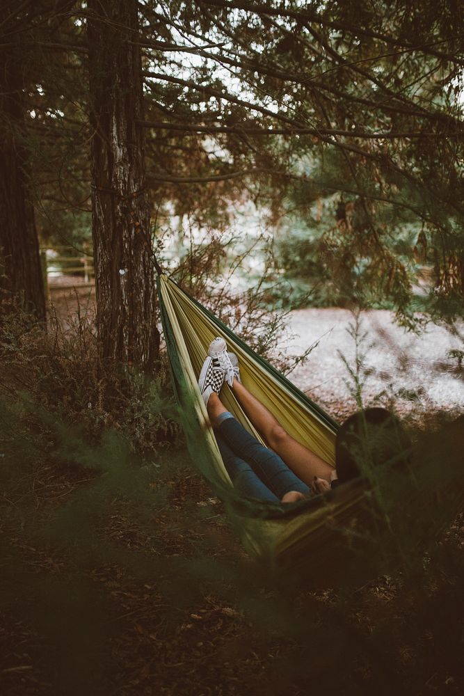 Two people in a hammock hanging between trees. Original public domain image from Wikimedia Commons