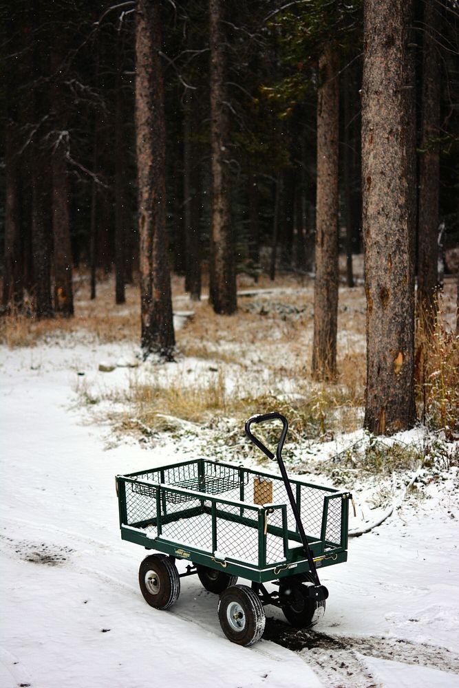 A small empty handcart on a snowy path at the edge of the forest. Original public domain image from Wikimedia Commons