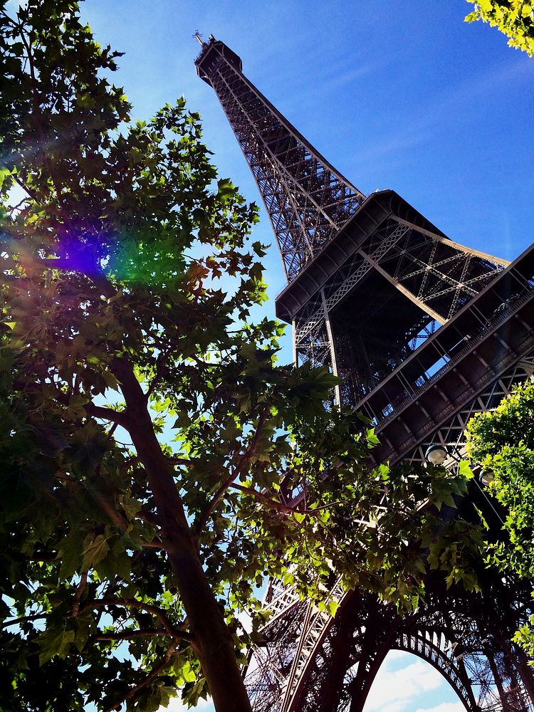 An angled shot looking up at the Eiffel Tower with a tree in the foreground. Original public domain image from Wikimedia…
