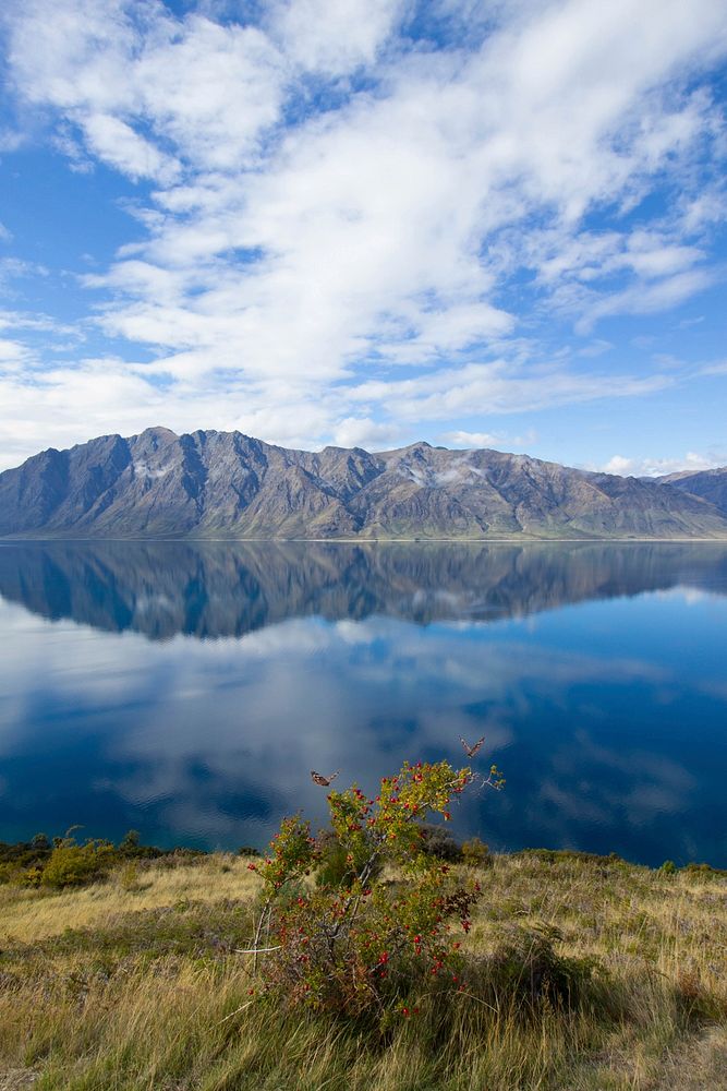 View of the clear surface of Lake Hawea and granite mountains on the opposite shore. Original public domain image from…
