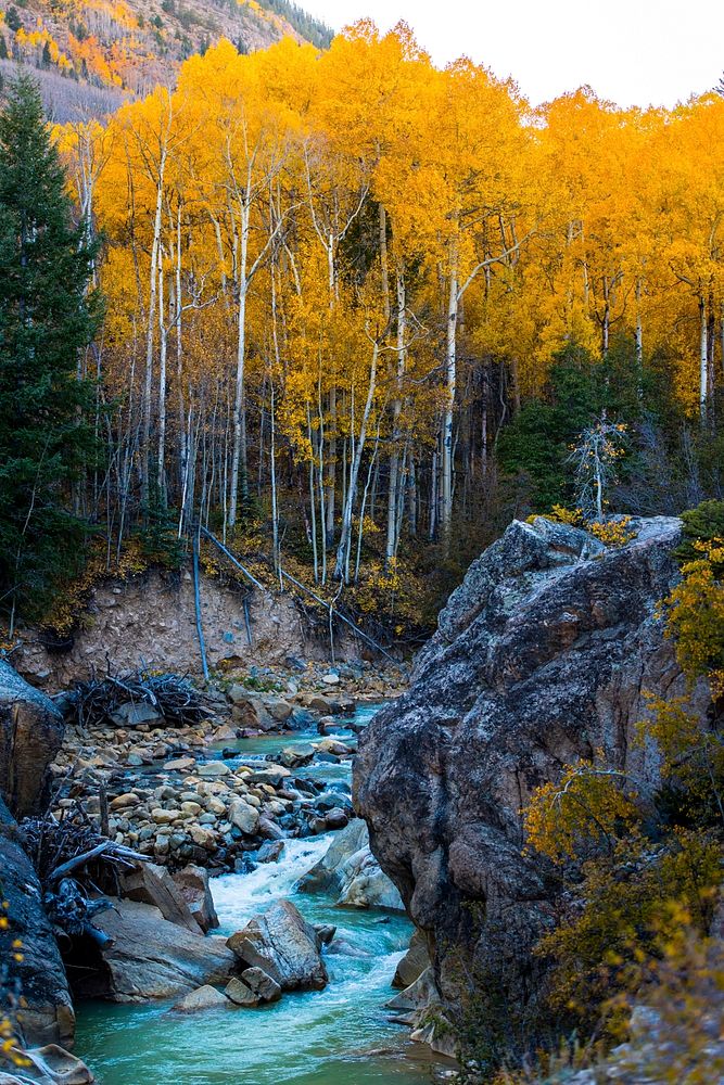 River by yellow trees. Original public domain image from Wikimedia Commons