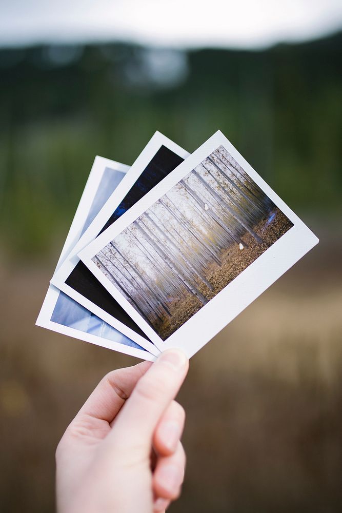 Hand holding a group of polaroids outside.Original public domain image from Wikimedia Commons