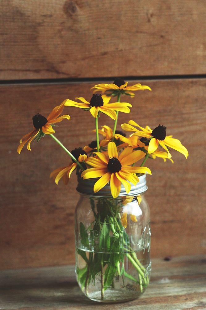 Black-eyed Susan in glass vase. Original public domain image from Wikimedia Commons