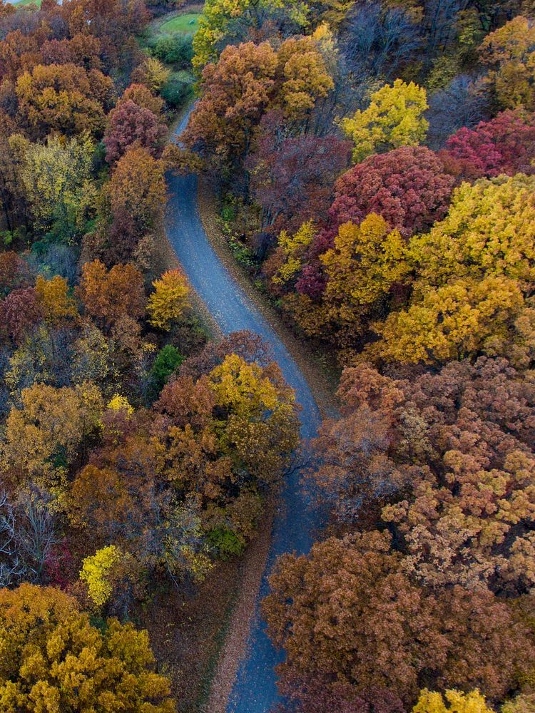 A drone shot of a curve in a road near autumn-colored trees. Original public domain image from Wikimedia Commons