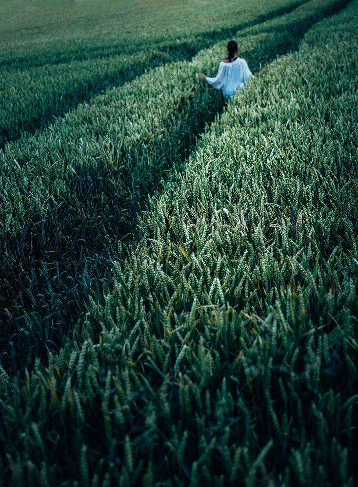 Woman walking through a field. Original public domain image from Wikimedia Commons