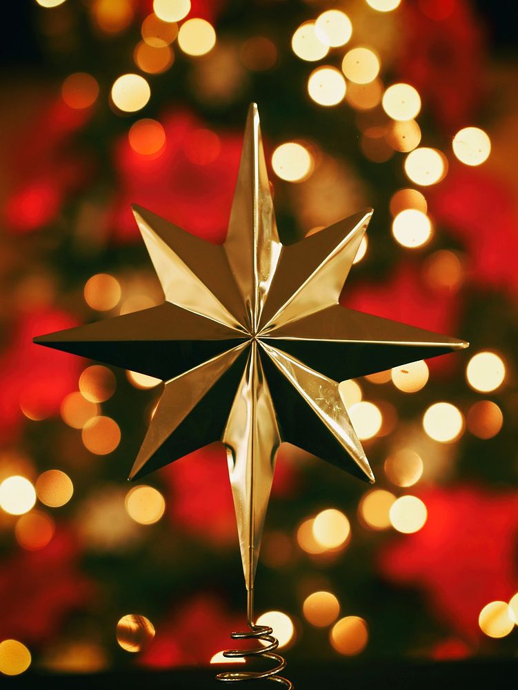 Single gold star in a center with unfocused Christmas lights and flowers behind at Christmastime. Original public domain…