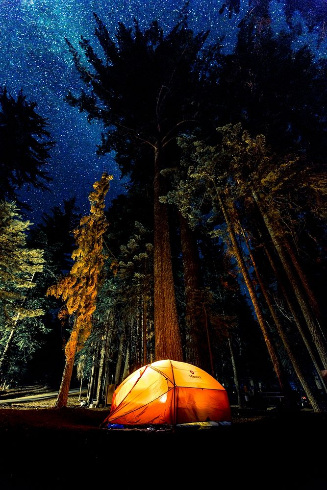 Camping under starry sky. Original public domain image from Wikimedia Commons