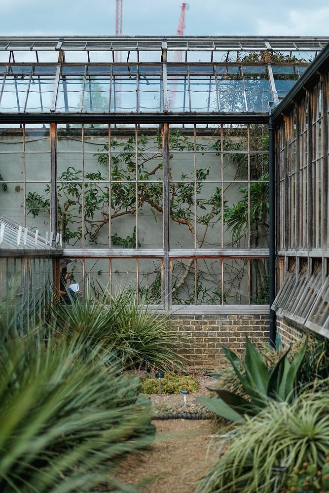 Outdoor plants and greenhouse windows at Cambridge Botanic Garden Hills Road Entrance during daytime. Original public domain…