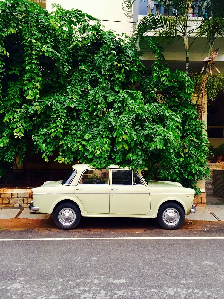 Retro cream colored car parked on pavement under overgrown tree in Bengaluru. Original public domain image from Wikimedia…