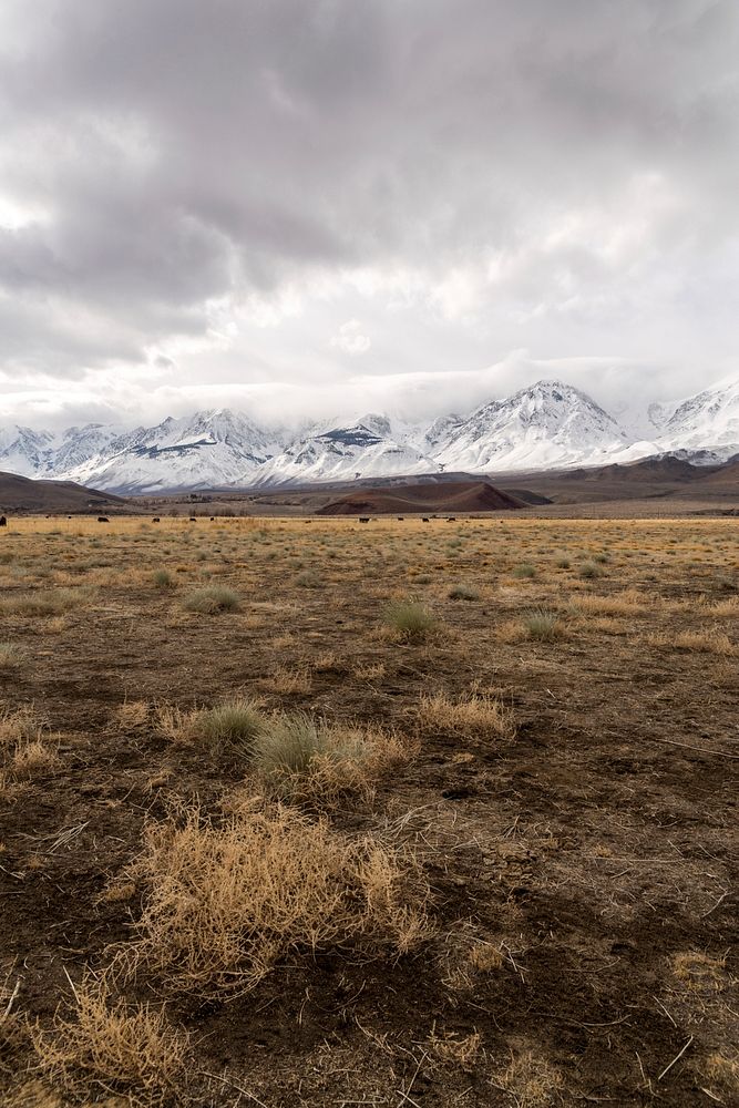 A vast dry plain stretching to the snow-covered mountains on the horizon. Original public domain image from Wikimedia Commons