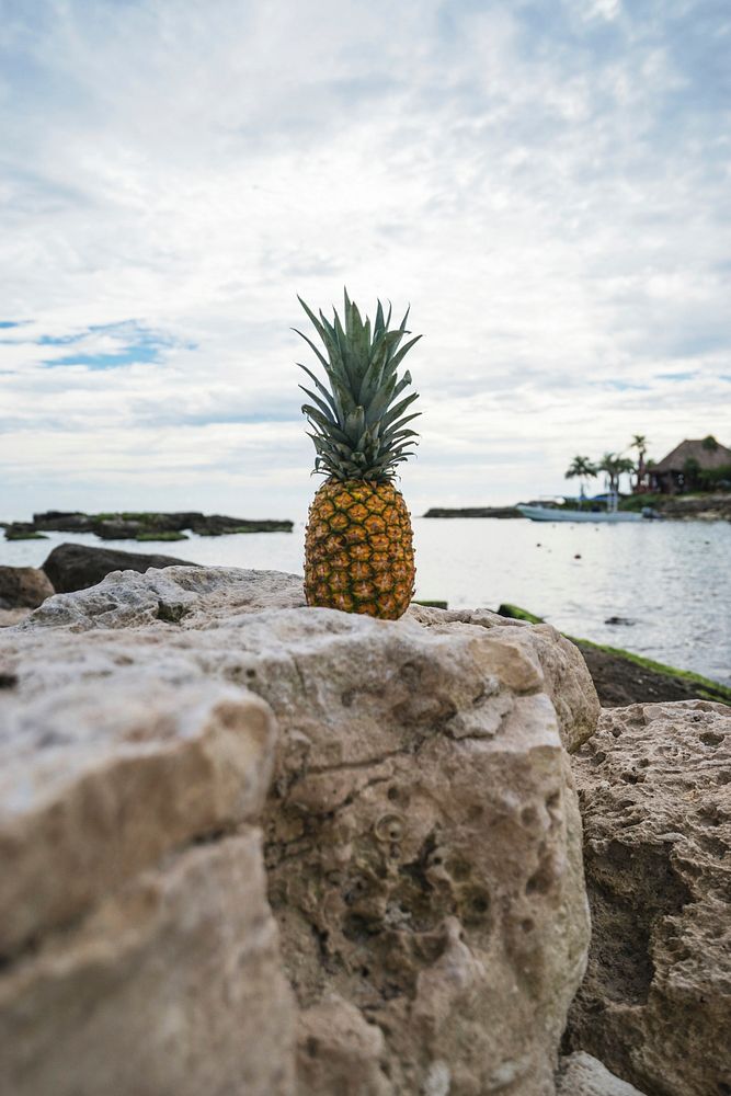 A pineapple sitting on a rock with a view of palm trees and the ocean behind it at Grand Sirenis Riviera Maya Resort.…