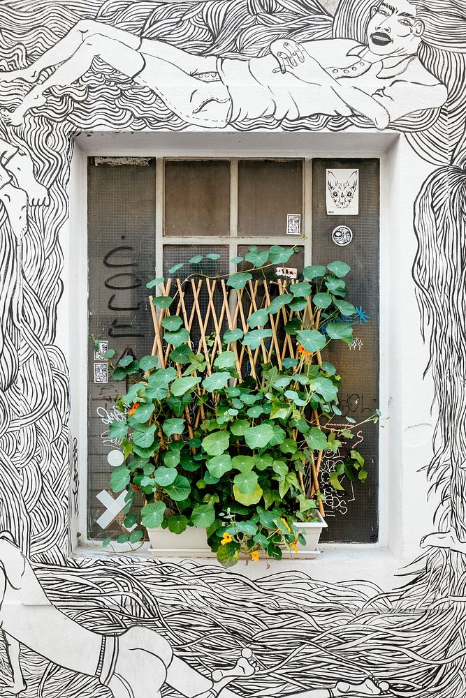 Black and white graffiti surrounding urban window with potted green plant growing on ledge, Geneva. Original public domain…