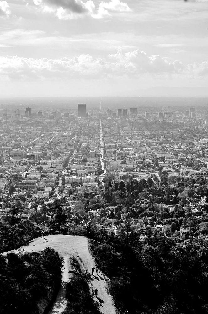 Black and white shot of urban sprawl from natural area with trees. Original public domain image from Wikimedia Commons