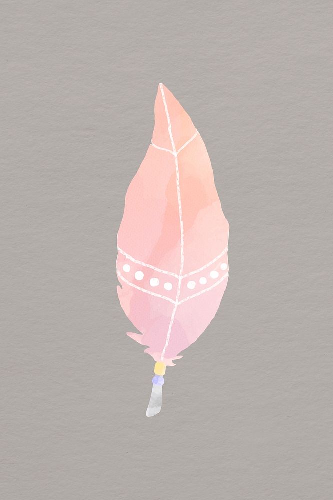 Pastel boho illustration feather design