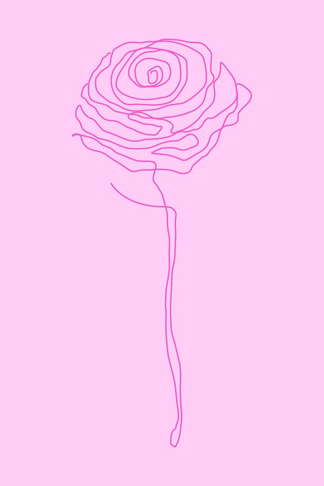 Rose flower line drawing vector on pink background