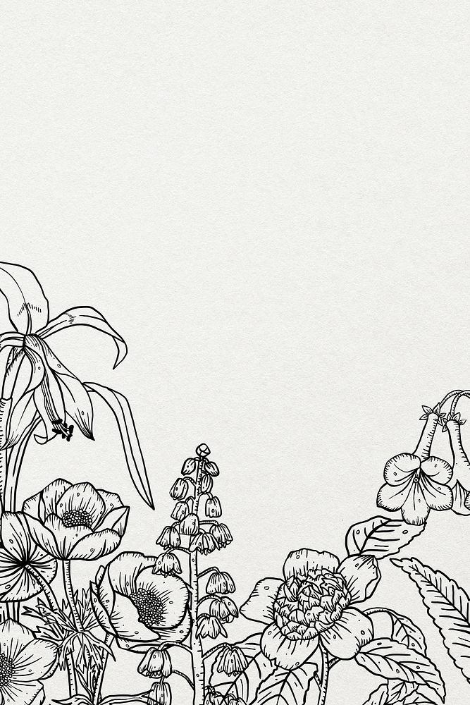 Floral hand drawn background, minimal line art in black and white border