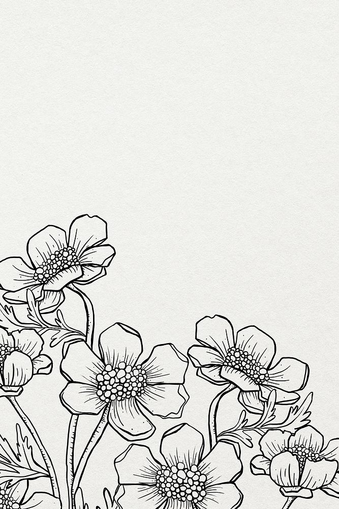 Floral hand drawn background, minimal line art in black and white border