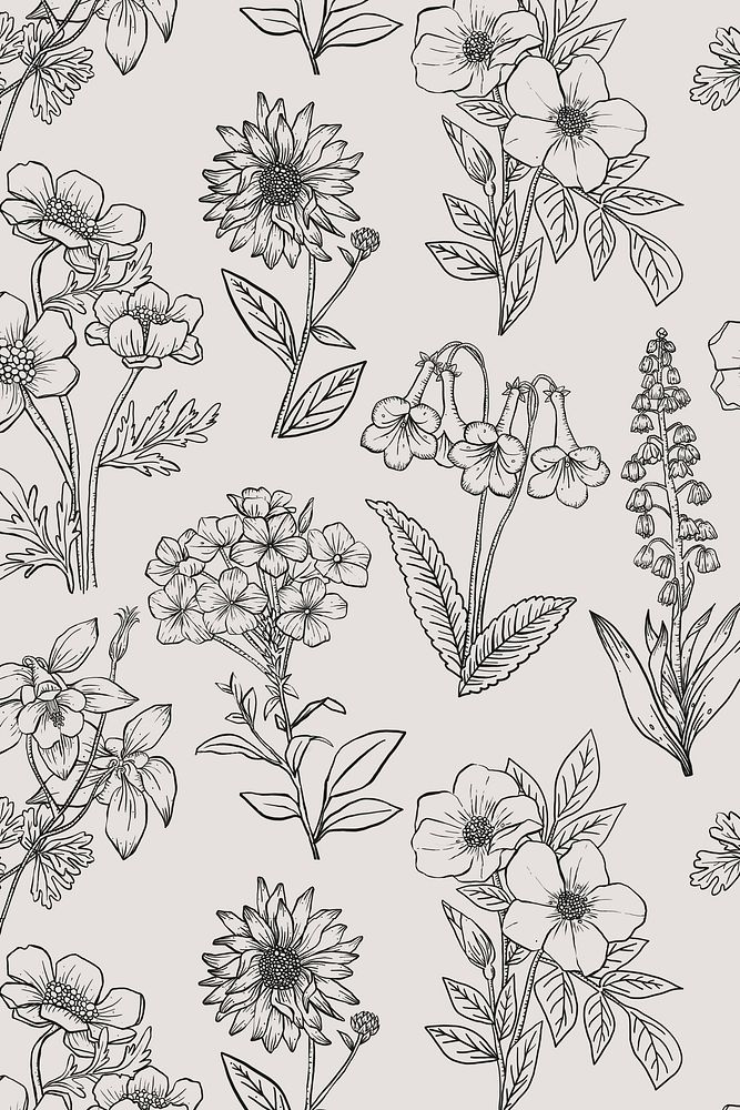 Aesthetic flower line art background in black and white, hand drawn minimal design
