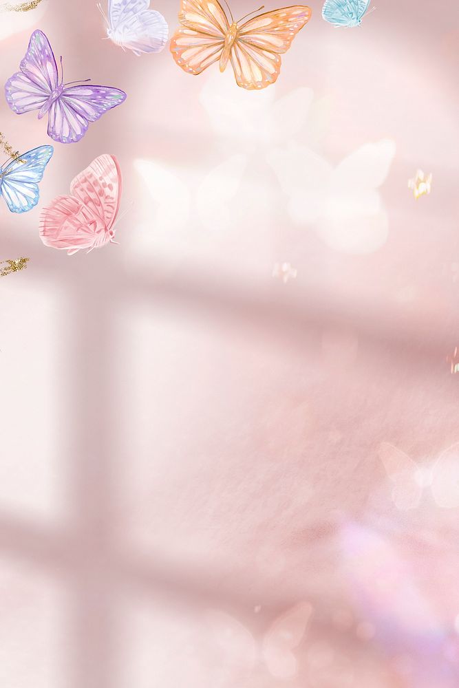 Pink background, colorful butterfly, window shadow design
