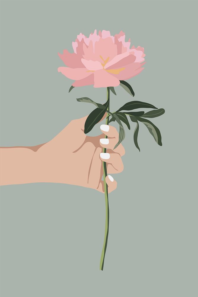 Giving pink rose background, botanical illustration design