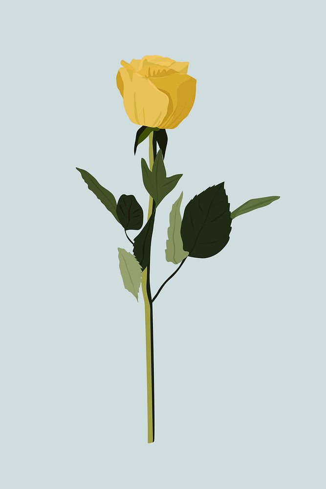 Yellow rose clipart, botanical illustration design psd