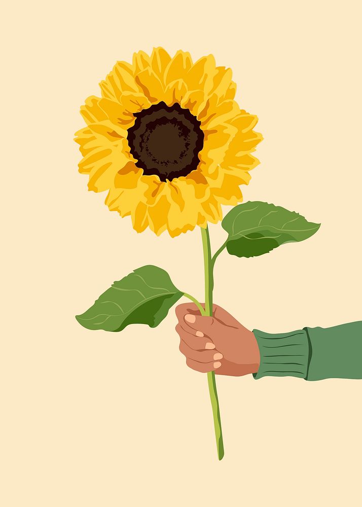 Aesthetic sunflower background, hand holding flower