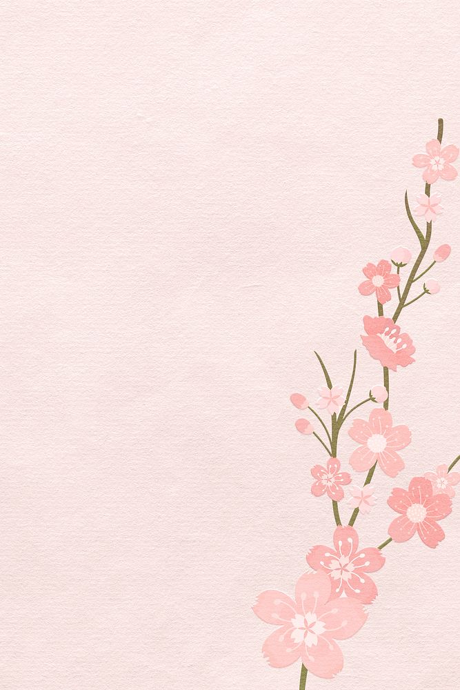 Spring background with pink sakura flower