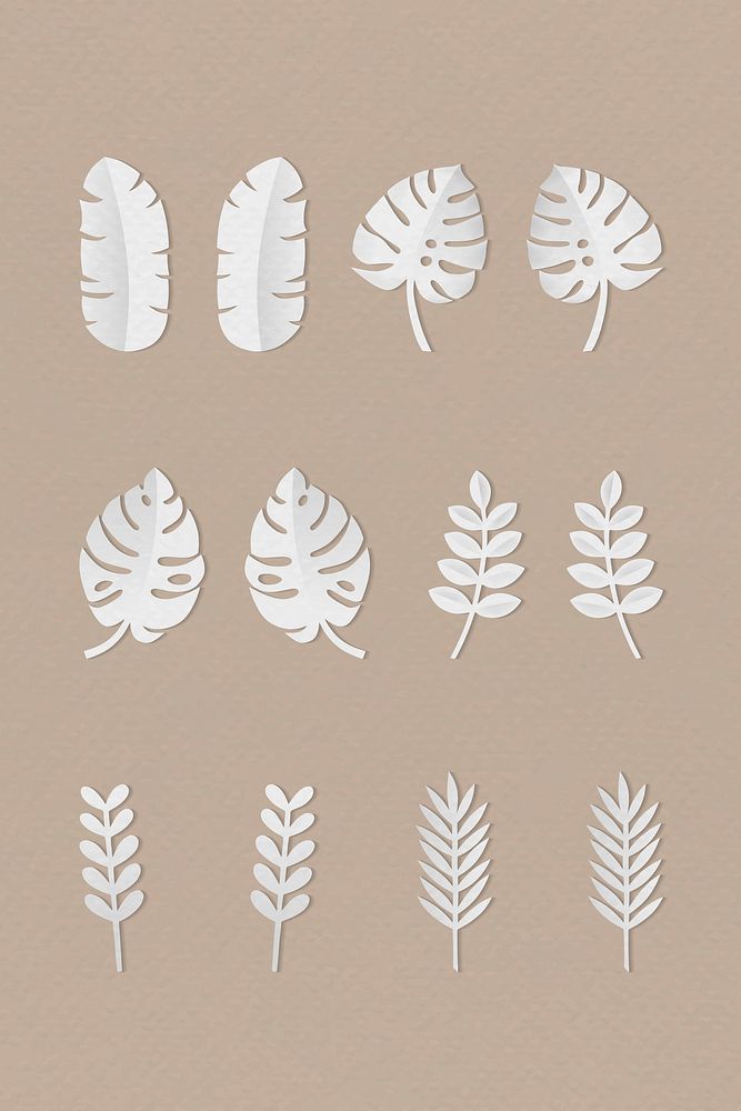 White tropical leaves on brown background vector collection