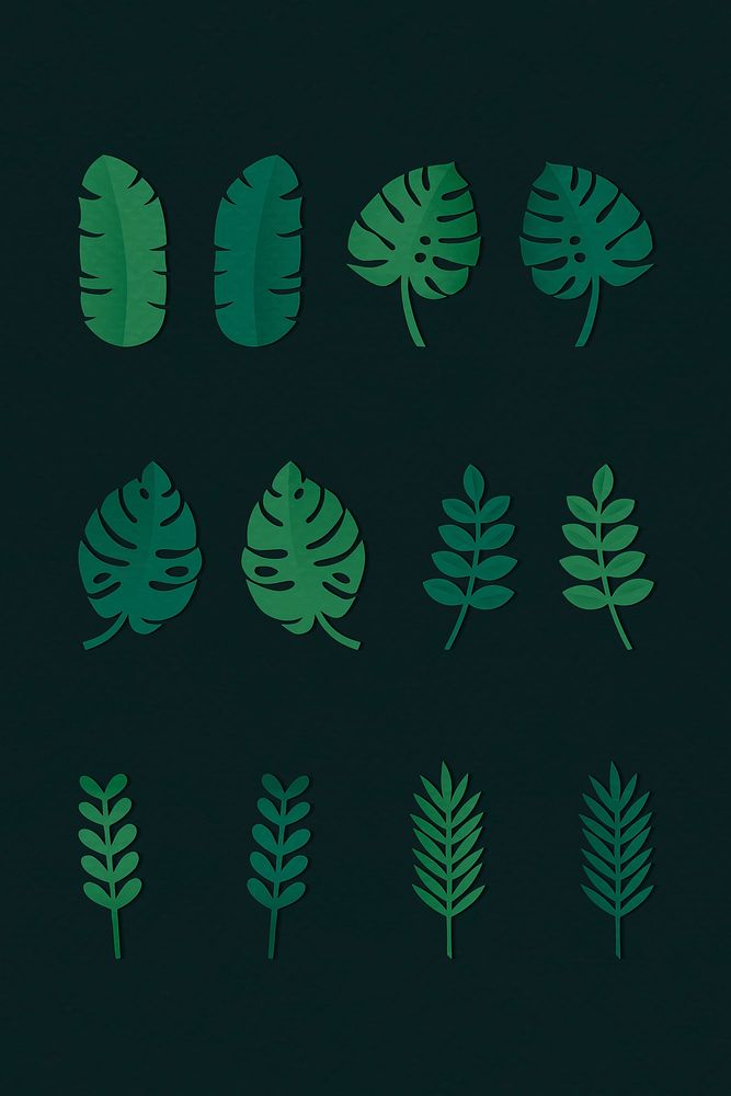 Tropical leaves on background vector collection