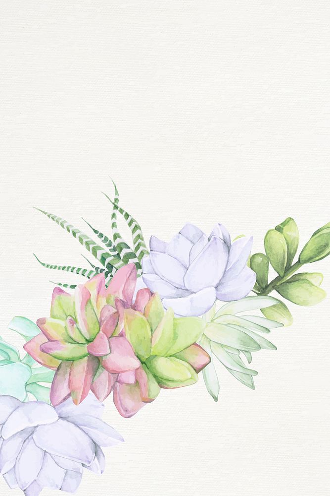 Hand drawn succulent themed background vector
