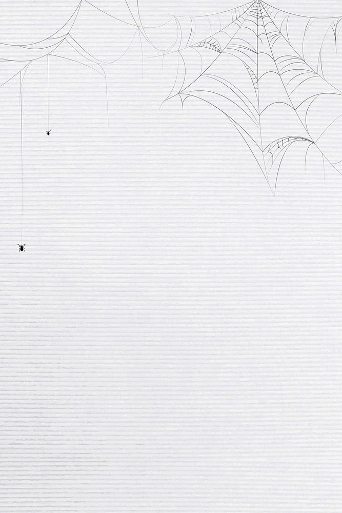 Spider web white background template vector