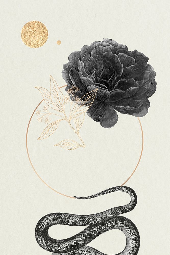 Blank floral frame with a snake vector
