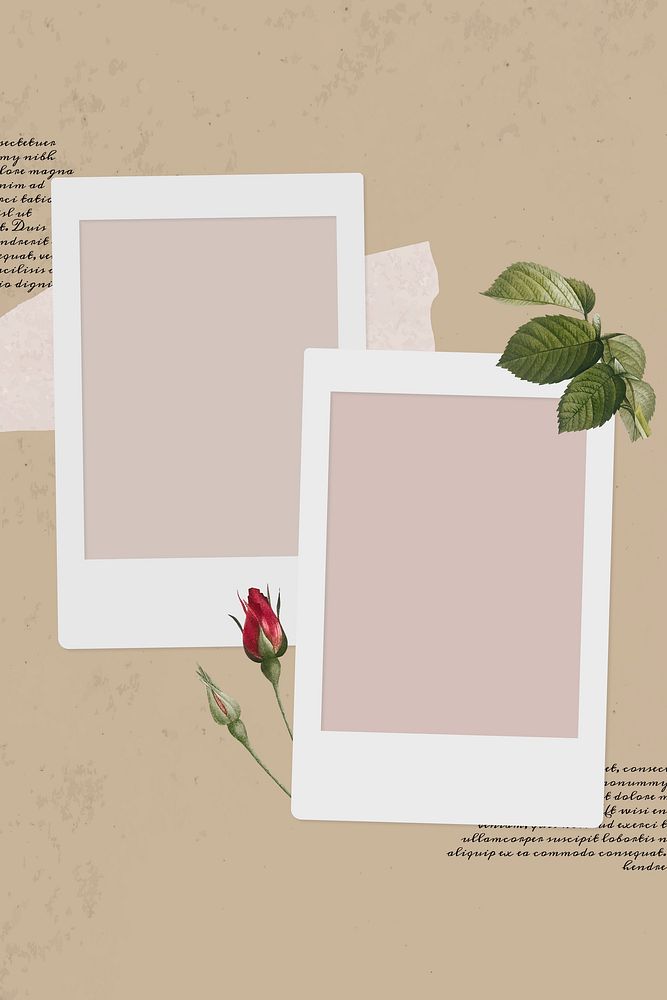 Blank collage photo frame template on beige background vector