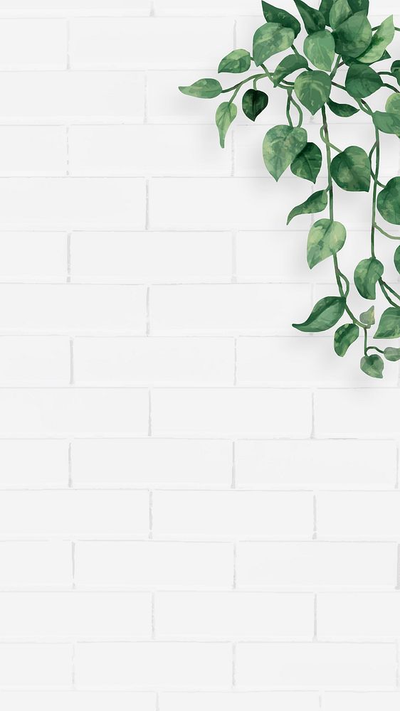 Minimal iPhone wallpaper, white aesthetic background, green plant border