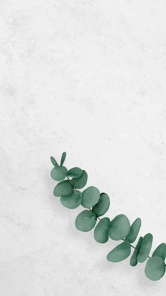Minimal iPhone wallpaper, white aesthetic background, green plant border