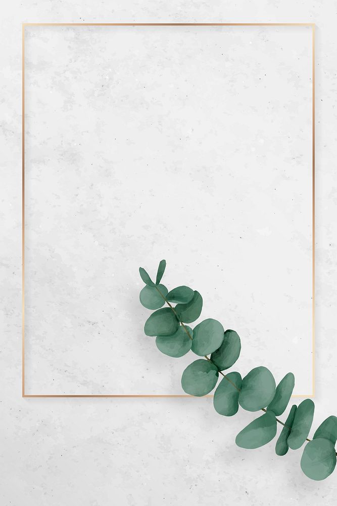 Blank rectangle eucalyptus frame vector